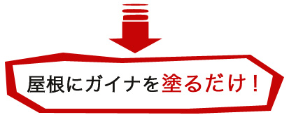 屋根にガイナを塗るだけ！